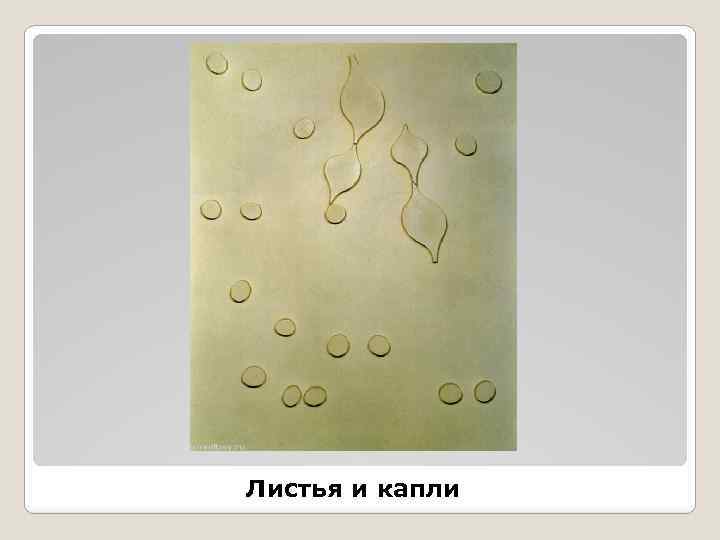 Листья и капли 