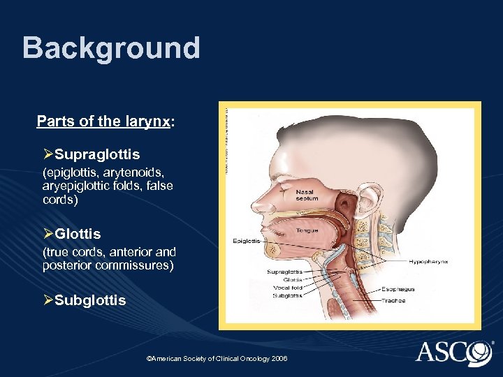 Background Parts of the larynx: ØSupraglottis (epiglottis, arytenoids, aryepiglottic folds, false cords) ØGlottis (true