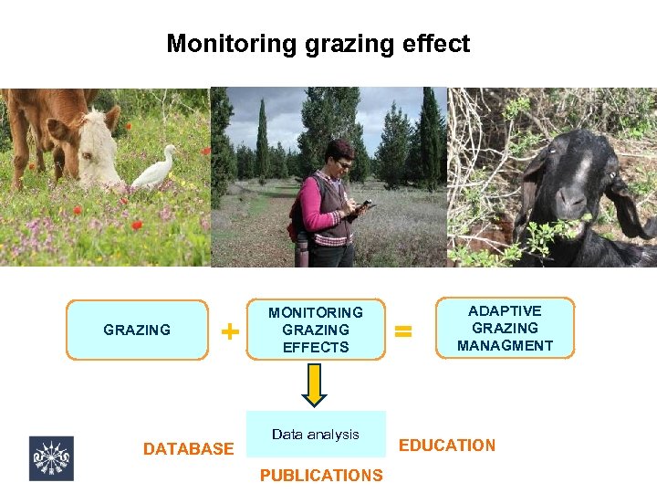 Monitoring grazing effect GRAZING + DATABASE MONITORING GRAZING EFFECTS Data analysis PUBLICATIONS = ADAPTIVE