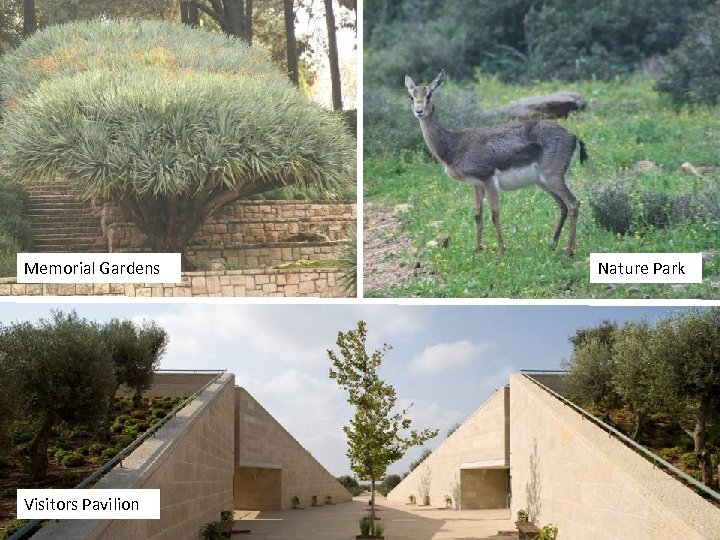 Memorial Gardens Visitors Pavilion Nature Park 