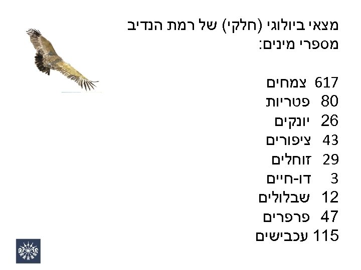 מצאי ביולוגי )חלקי( של רמת הנדיב מספרי מינים: 716 צמחים 08 פטריות 62