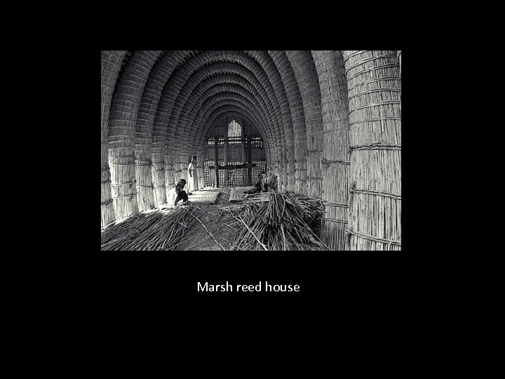 Marsh reed house 