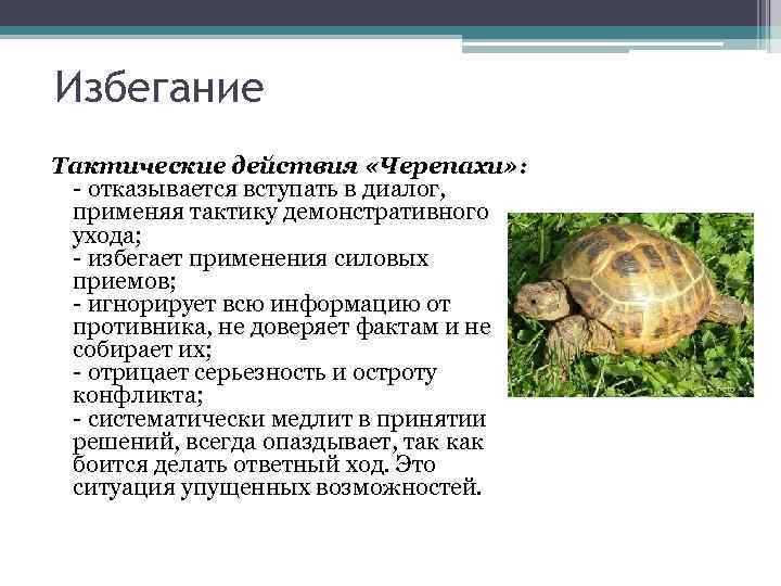 Избегание Тактические действия «Черепахи» : - отказывается вступать в диалог, применяя тактику демонстративного ухода;