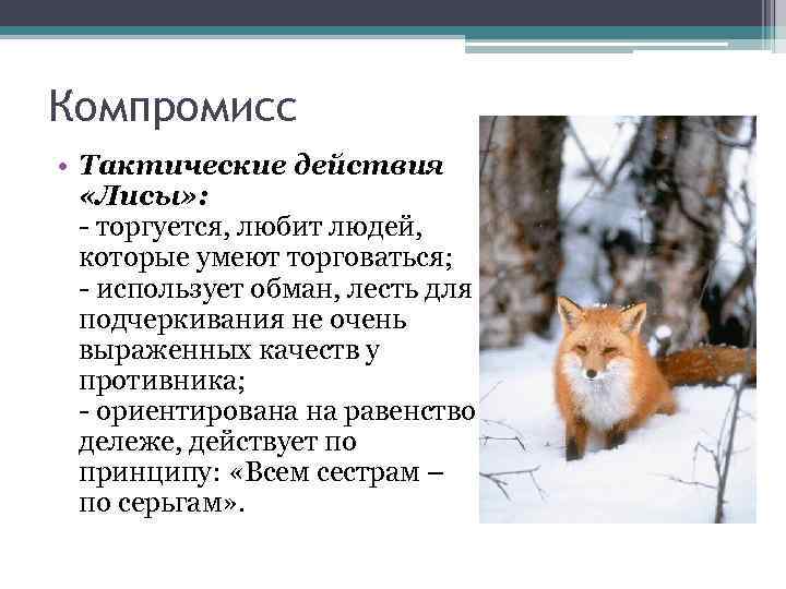 Компромисс • Тактические действия «Лисы» : - торгуется, любит людей, которые умеют торговаться; -
