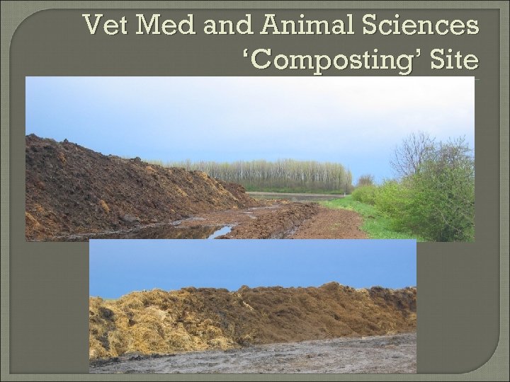 Vet Med and Animal Sciences ‘Composting’ Site 