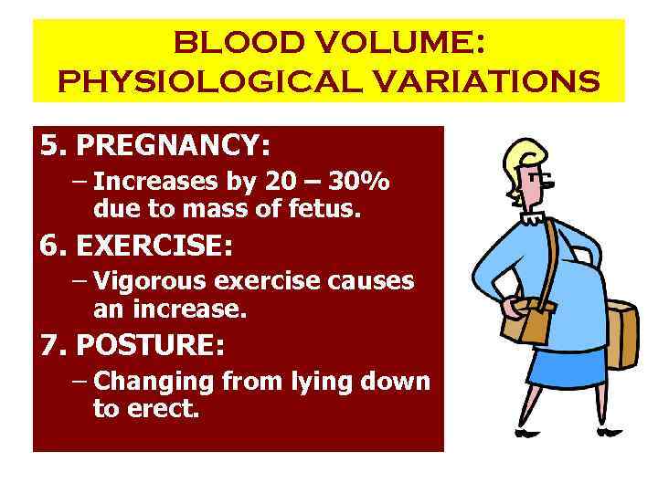 BLOOD VOLUME: PHYSIOLOGICAL VARIATIONS 5. PREGNANCY: – Increases by 20 – 30% due to
