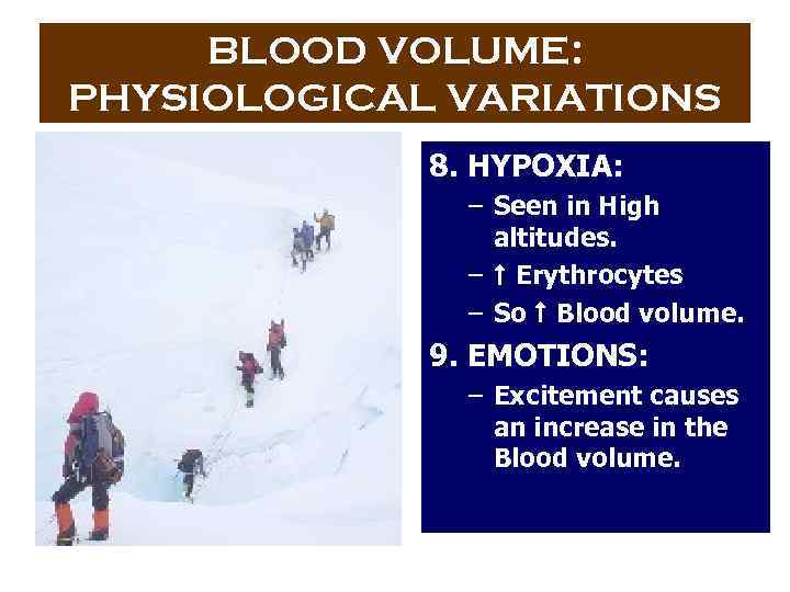 BLOOD VOLUME: PHYSIOLOGICAL VARIATIONS 8. HYPOXIA: – Seen in High altitudes. – Erythrocytes –