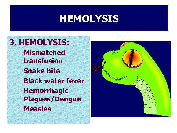 HEMOLYSIS 3. HEMOLYSIS: – Mismatched transfusion – Snake bite – Black water fever –