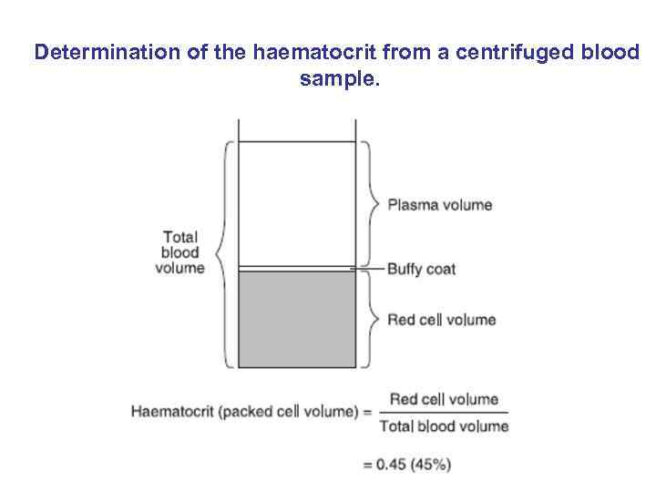 Determination of the haematocrit from a centrifuged blood sample. 