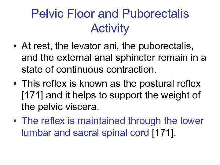 Pelvic Floor and Puborectalis Activity • At rest, the levator ani, the puborectalis, and