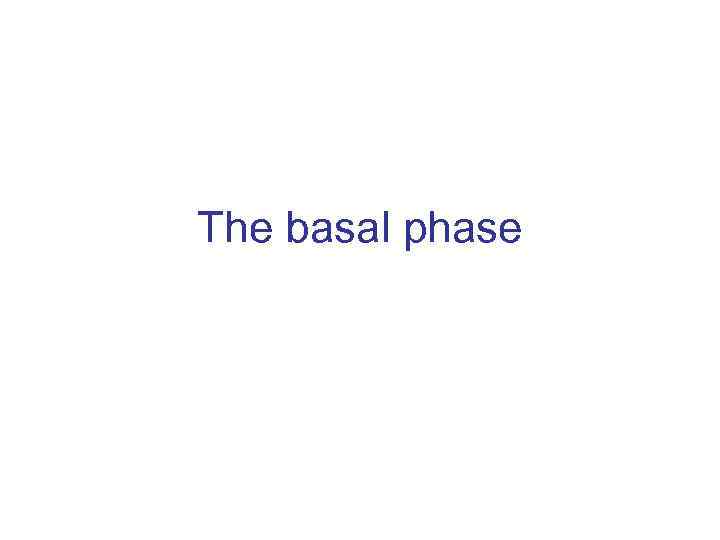 The basal phase 