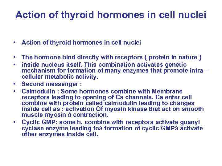 Action of thyroid hormones in cell nuclei • The hormone bind directly with receptors