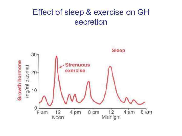 Effect of sleep & exercise on GH secretion 
