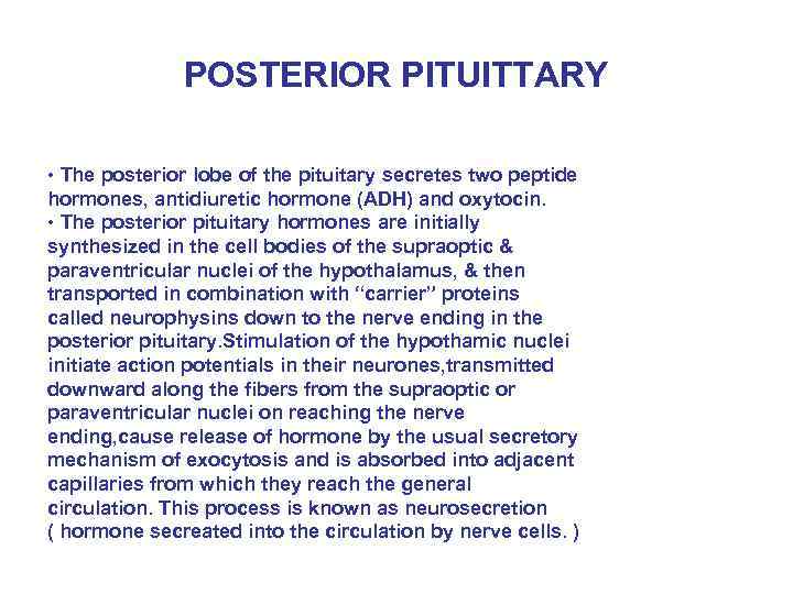 POSTERIOR PITUITTARY • The posterior lobe of the pituitary secretes two peptide hormones, antidiuretic