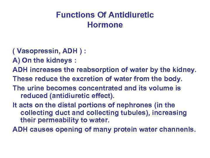 Functions Of Antidiuretic Hormone ( Vasopressin, ADH ) : A) On the kidneys :