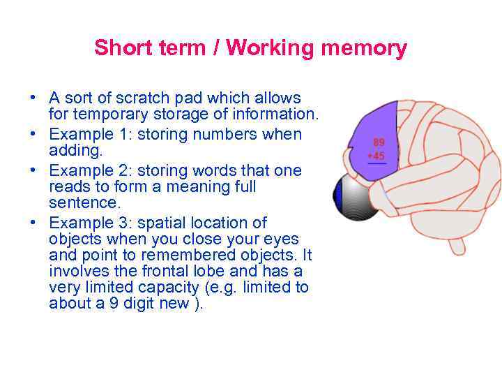 Short term / Working memory • A sort of scratch pad which allows for