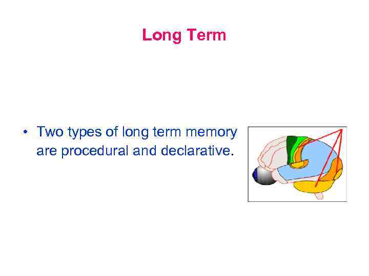 Long Term • Two types of long term memory are procedural and declarative. 