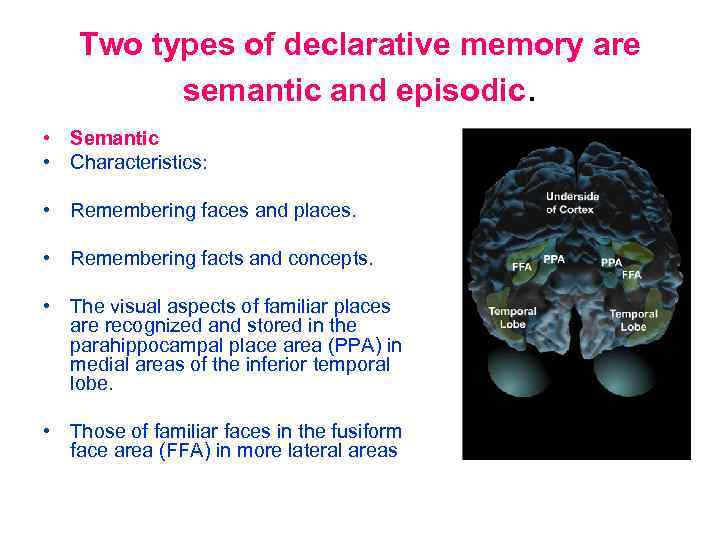 Two types of declarative memory are semantic and episodic. • Semantic • Characteristics: •