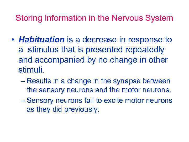 Storing Information in the Nervous System • Habituation is a decrease in response to