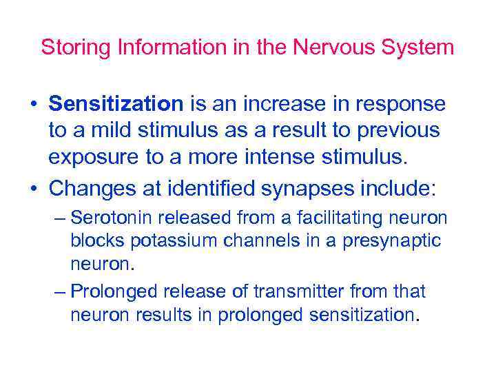 Storing Information in the Nervous System • Sensitization is an increase in response to