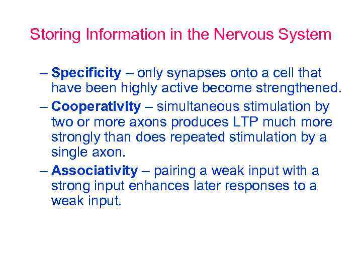 Storing Information in the Nervous System – Specificity – only synapses onto a cell