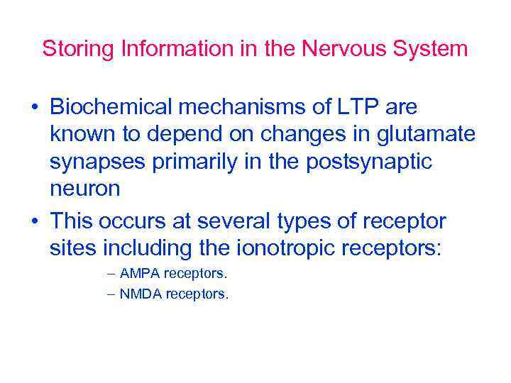Storing Information in the Nervous System • Biochemical mechanisms of LTP are known to