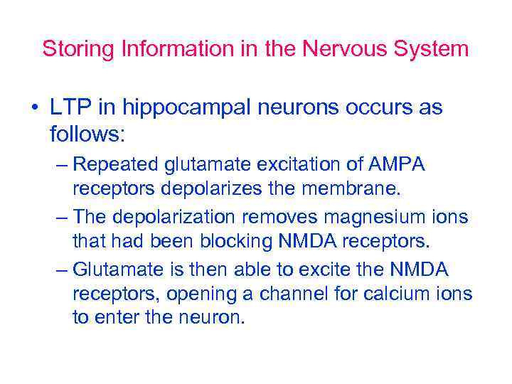 Storing Information in the Nervous System • LTP in hippocampal neurons occurs as follows: