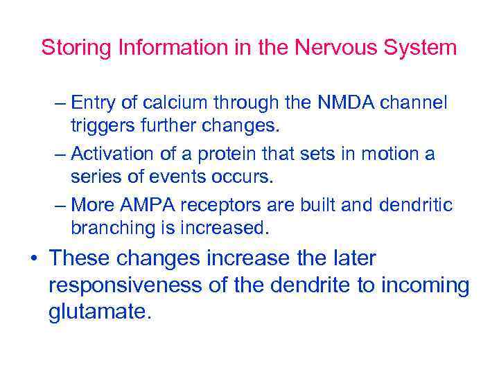 Storing Information in the Nervous System – Entry of calcium through the NMDA channel