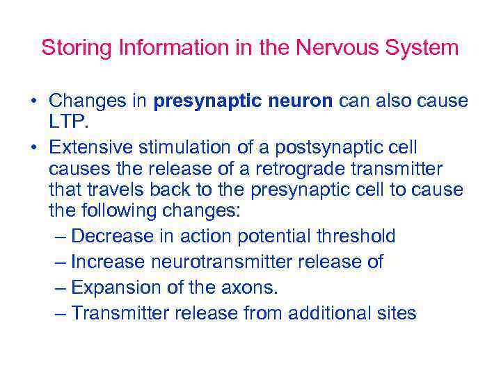 Storing Information in the Nervous System • Changes in presynaptic neuron can also cause