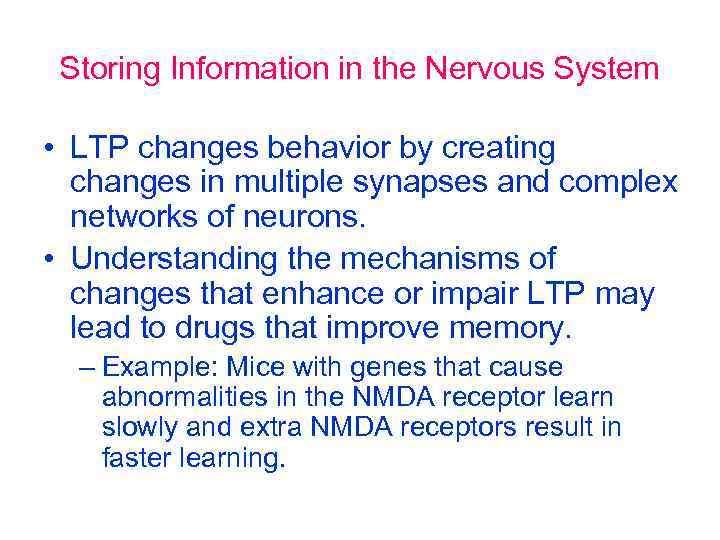Storing Information in the Nervous System • LTP changes behavior by creating changes in