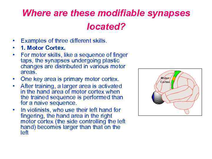 Where are these modifiable synapses located? • Examples of three different skills. • 1.