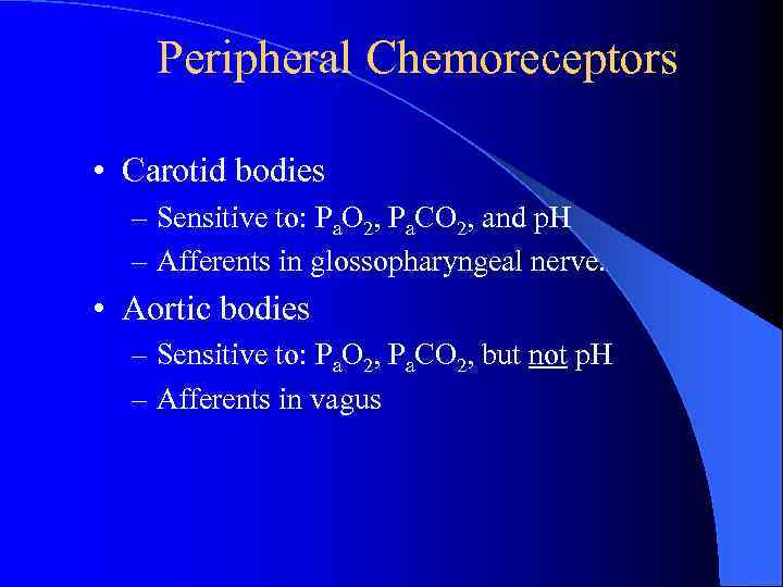 Peripheral Chemoreceptors • Carotid bodies – Sensitive to: Pa. O 2, Pa. CO 2,