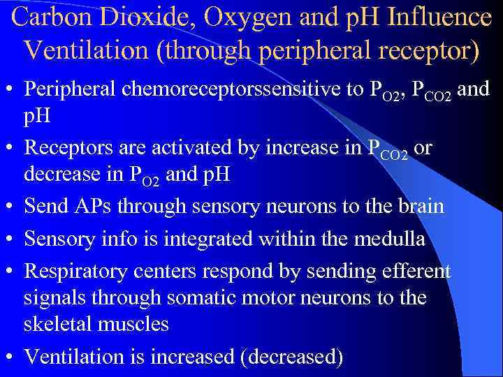 Carbon Dioxide, Oxygen and p. H Influence Ventilation (through peripheral receptor) • Peripheral chemoreceptorssensitive