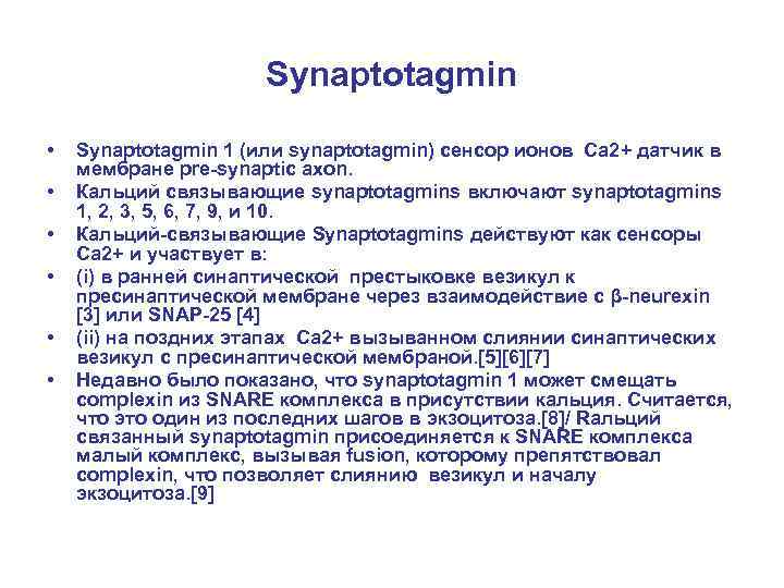 Synaptotagmin • • • Synaptotagmin 1 (или synaptotagmin) сенсор ионов Ca 2+ датчик в