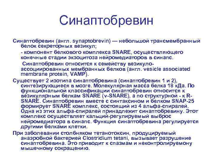 Синаптобревин (англ. synaptobrevin) — небольшой трансмембранный белок секреторных везикул; - компонент белкового комплекса SNARE,