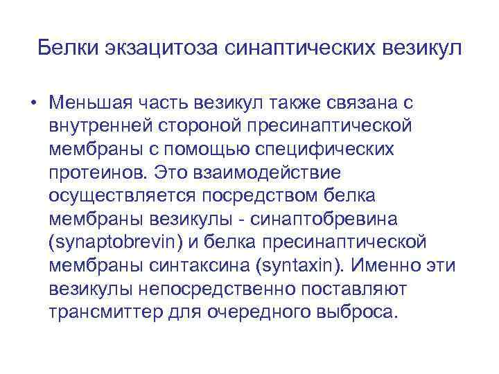 Белки экзацитоза синаптических везикул • Меньшая часть везикул также связана с внутренней стороной пресинаптической