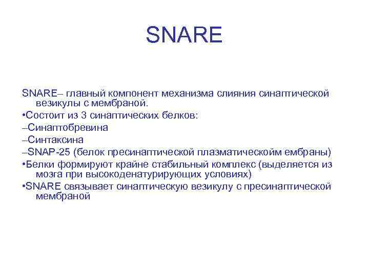 SNARE– главный компонент механизма слияния синаптической везикулы с мембраной. • Состоит из 3 синаптических