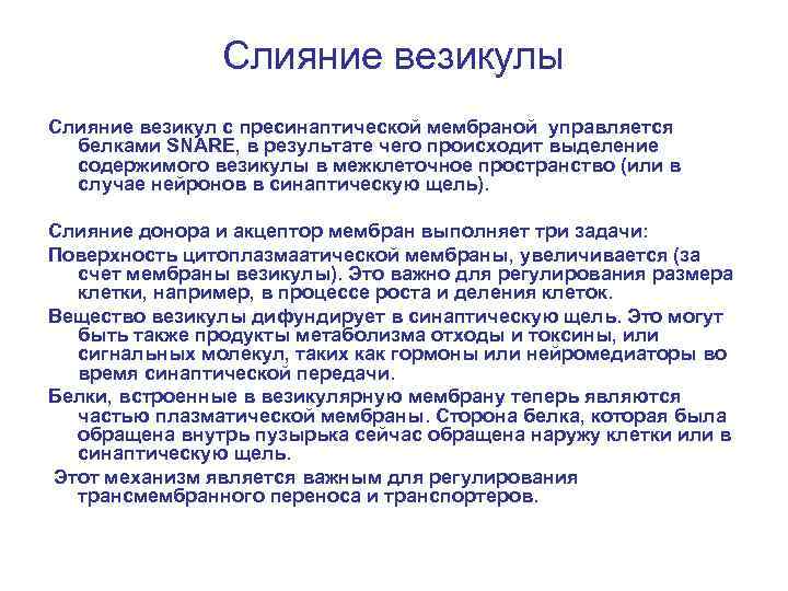 Слияние везикулы Слияние везикул с пресинаптической мембраной управляется белками SNARE, в результате чего происходит