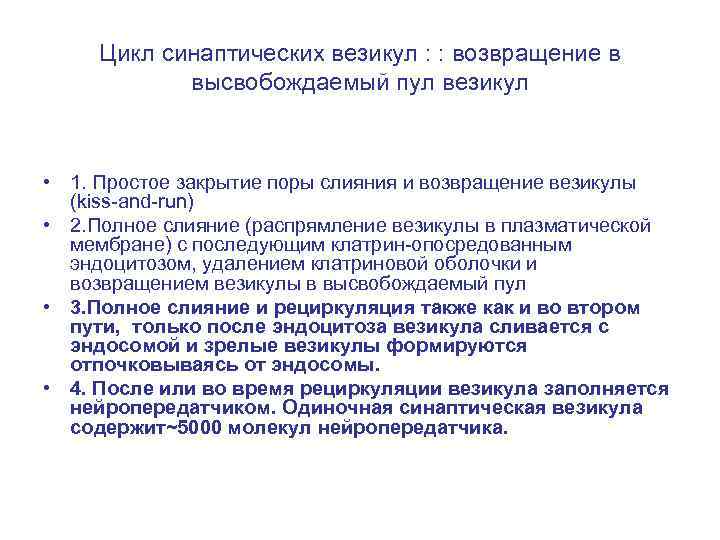 Цикл синаптических везикул : : возвращение в высвобождаемый пул везикул • 1. Простое закрытие