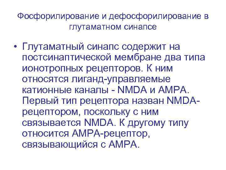 Фосфорилирование и дефосфорилирование в глутаматном синапсе • Глутаматный синапс содержит на постсинаптической мембране два