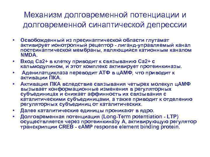 Механизм долговременной потенциации и долговременной синаптической депрессии • • • Освобожденный из пресинаптической области