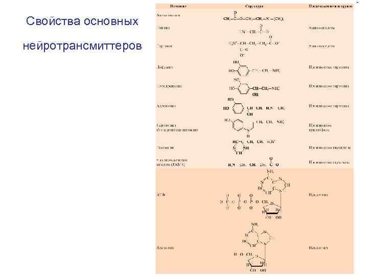 Свойства основных нейротрансмиттеров 