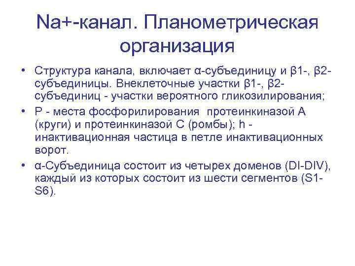 Na+-канал. Планометрическая организация • Структура канала, включает α-субъединицу и β 1 -, β 2