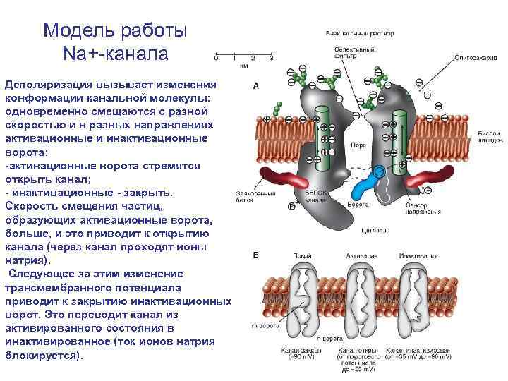 Изменения канал