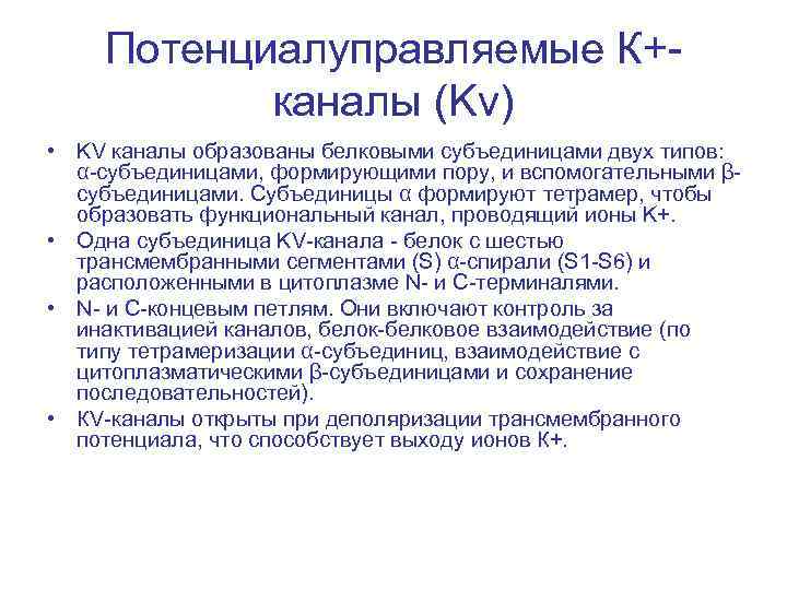 Потенциалуправляемые К+каналы (Kv) • KV каналы образованы белковыми субъединицами двух типов: α-субъединицами, формирующими пору,