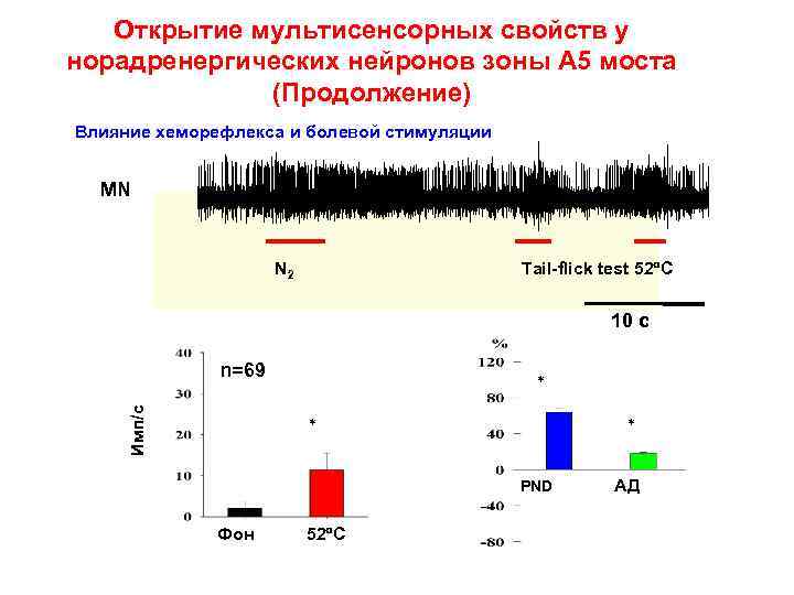 Открытие мультисенсорных свойств у норадренергических нейронов зоны А 5 моста (Продолжение) Влияние хеморефлекса и