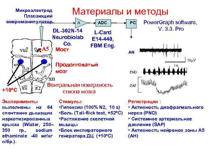 Микроэлектрод Плавающий микроманипулятор VI Материалы и методы A DL-302 N-14 Neurobiolab Co. A 5