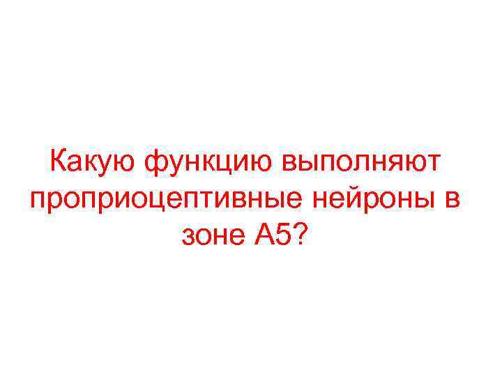 Какую функцию выполняют проприоцептивные нейроны в зоне А 5? 