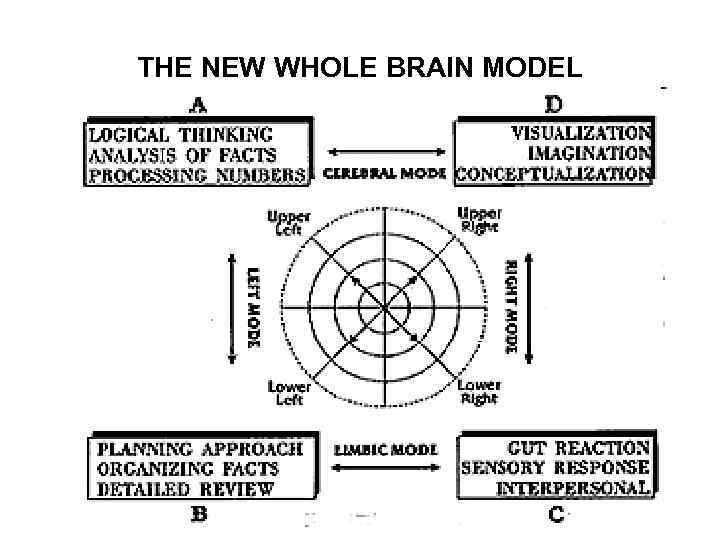 THE NEW WHOLE BRAIN MODEL 