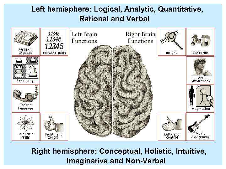 Left hemisphere: Logical, Analytic, Quantitative, Rational and Verbal Right hemisphere: Conceptual, Holistic, Intuitive, Imaginative